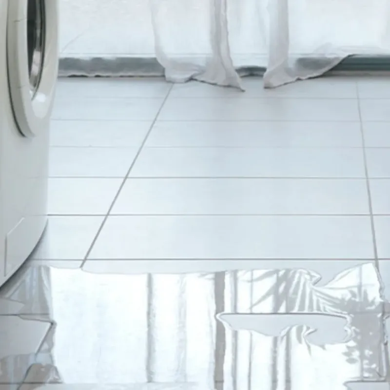 Appliance Leak Cleanup in Lee County, IL