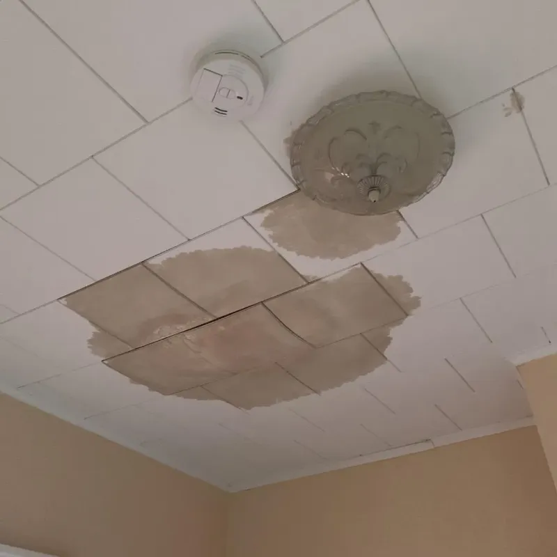 Ceiling Water Damage Repair in Lee County, IL